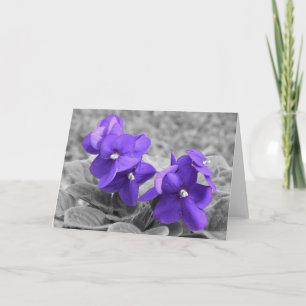 Carte Violet