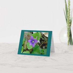 Carte Violet Note
