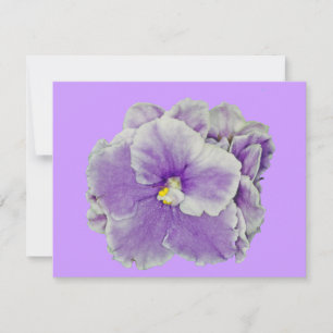 Carte Violet violet africain