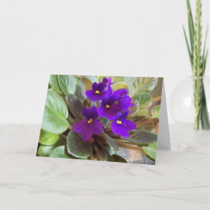 Carte Violets