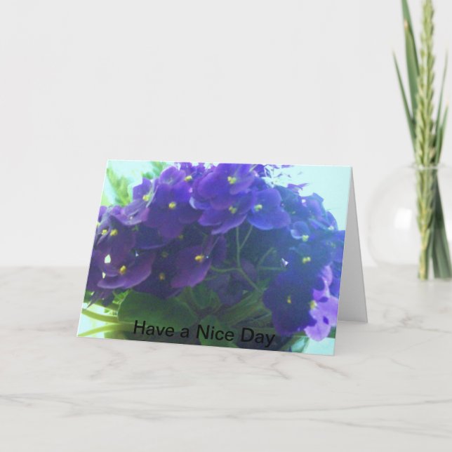 Carte Violettes africaines (Devant)