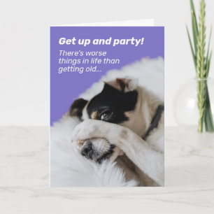 Carte Visage caché de chien - Il y a des choses pires An