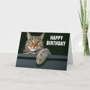 Carte Visage de chat tigré gris   Joyeux Anniversaire