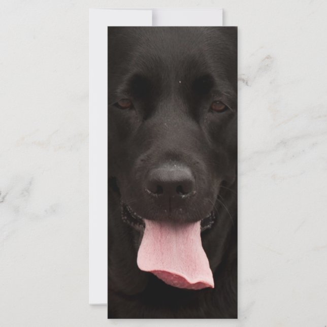 Carte Visage de chien noir (Devant)