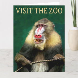 Carte Visitez le mandrill au zoo