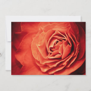 Carte vivant rose