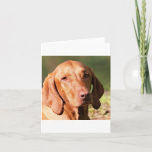 Carte vizsla