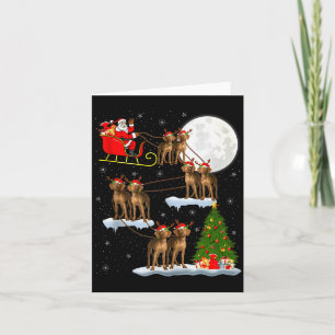 Carte Vizsla Chien Père Noël Traîneau Volant Drôle Magiq