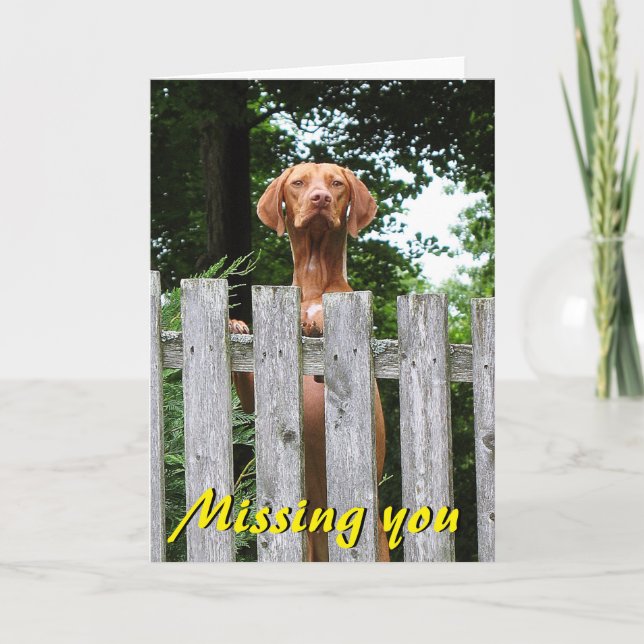 Carte Vizsla "vous manquant" cardent (Devant)