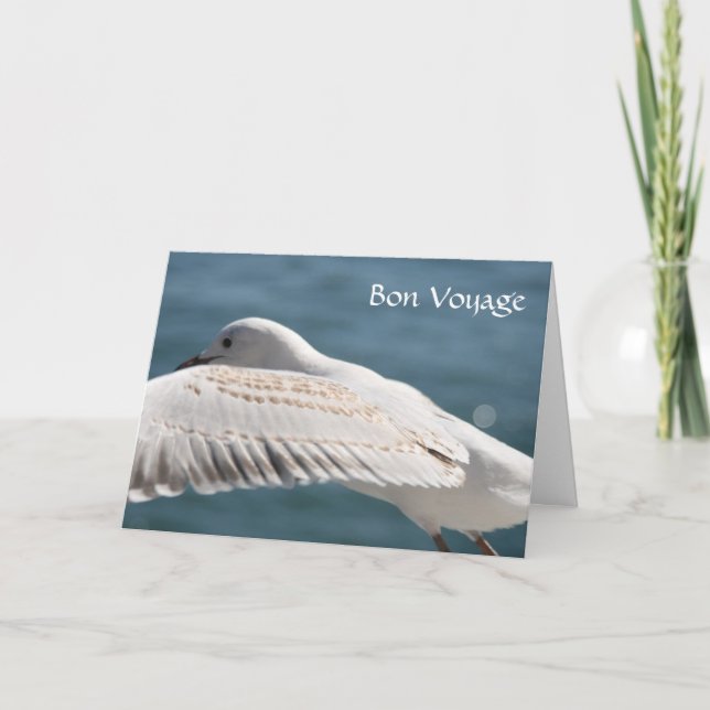 Carte voeu de seagull (Devant)