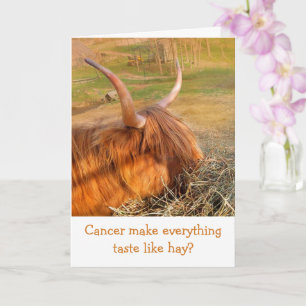 Carte Vœux amusants de rétablissement pour un cancer bov