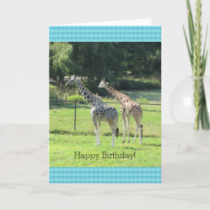 Carte Vœux d'anniversaire aux girafes qui paissent