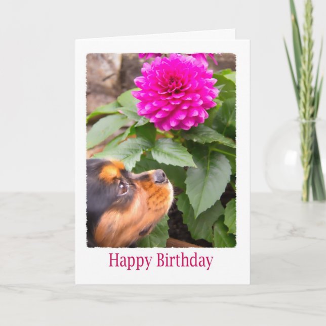 Carte Voeux D'Anniversaire Avec Dahlia Et Chien Espagnol (Devant)