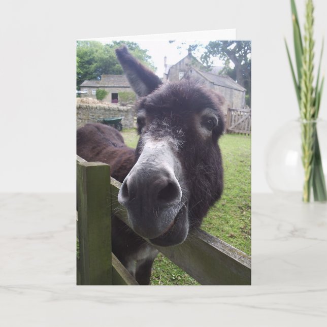 Carte Voeux d'anniversaire Donkey (Devant)