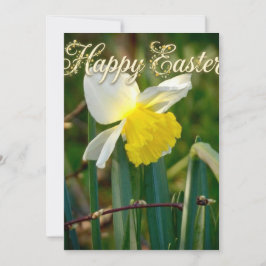 Carte Vœux de Pâques et jonquilles