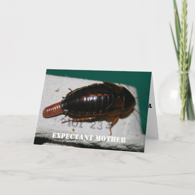 Carte Voix de la mère attenante Dubia avec sac d'oeufs (Devant)