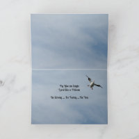 Voler comme un aigle, Terre comme un pélican - Hum