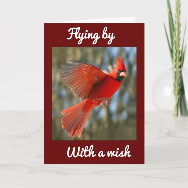 CARTE **VOLER POUR DIRE** ANNIVERSAIRE *MEILLEUR JAMAIS* (Devant)