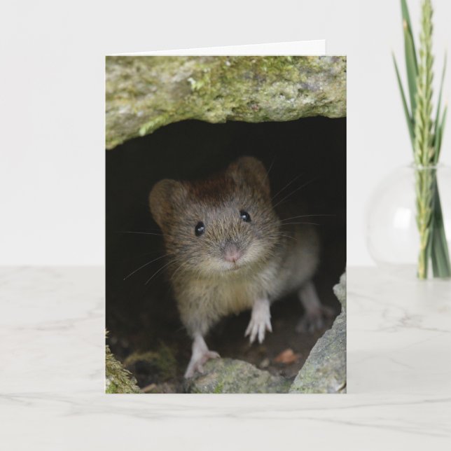 Carte Volet bancaire (Devant)