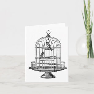 Carte Volière vintage avec oiseaux...carte de correspond