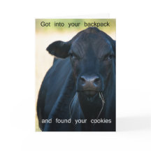 Voulez les biscuits de s'more