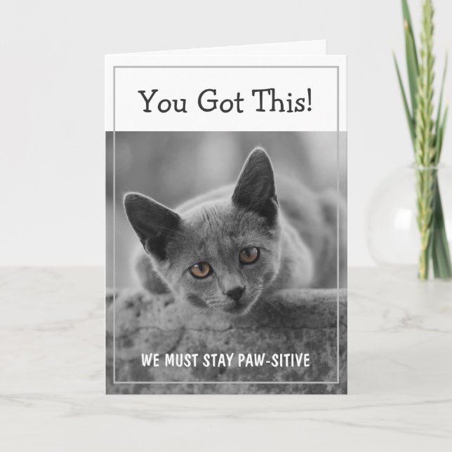 Carte Vous Avez Ça ! Nous Devons Rester Paw-Stive (Devant)