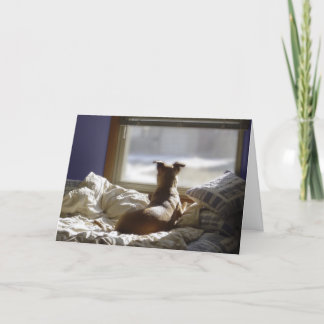 Carte Vous avez manqué