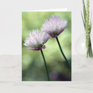 Carte Vous avez un ami en moi...