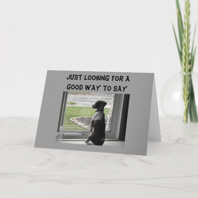 CARTE VOUS CHERCHEZ BIEN SUR LA COLLINE (Devant)