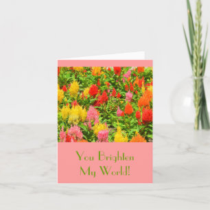 CARTE "VOUS ÉCLAIREZ MON MONDE" /ANNIVERSARY