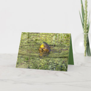 Carte Vous envoyer des câlins