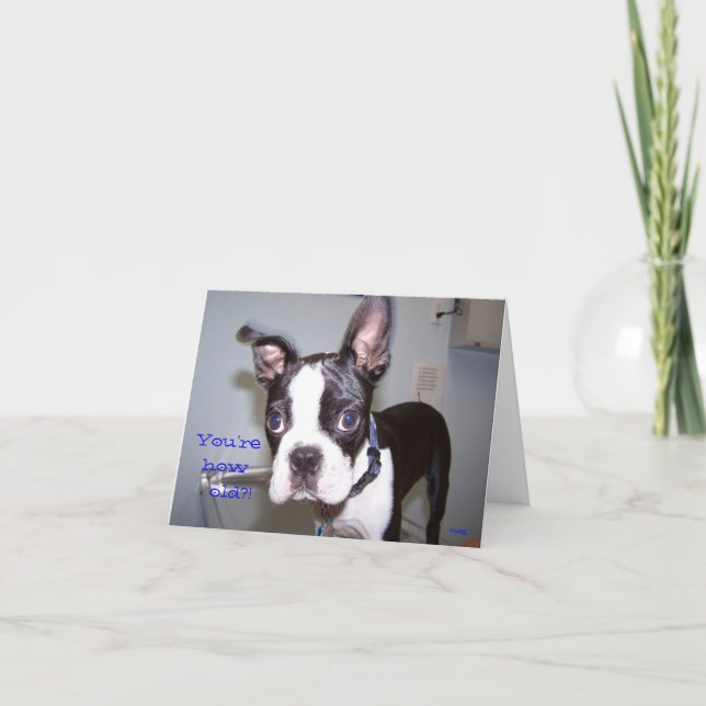 Carte Vous êtes combien vieux ? ! (Devant)