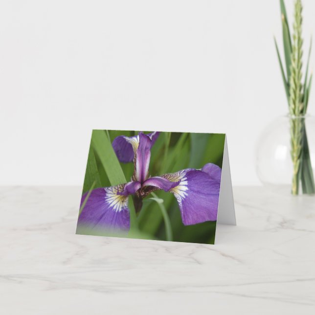 Carte Vous êtes dynamique aujourd'hui salutation (Devant)