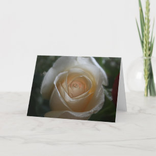 CARTE VOUS ÊTES LE ROSE DE MA VIE