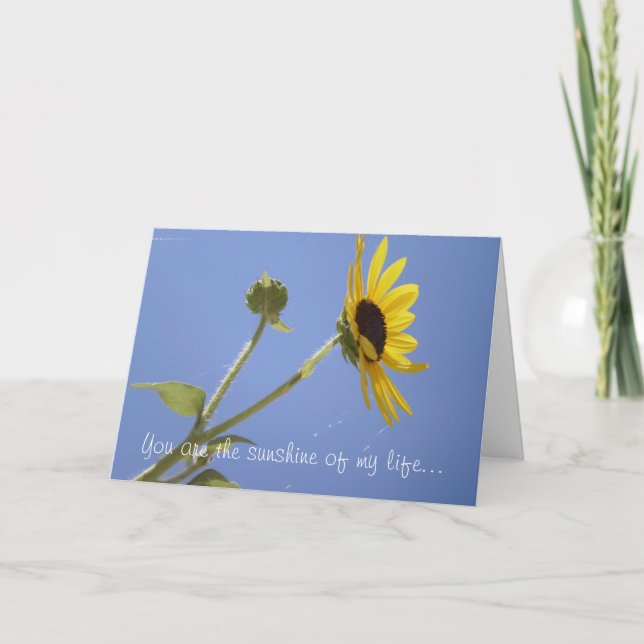 Carte Vous êtes le soleil de ma vie... (Devant)