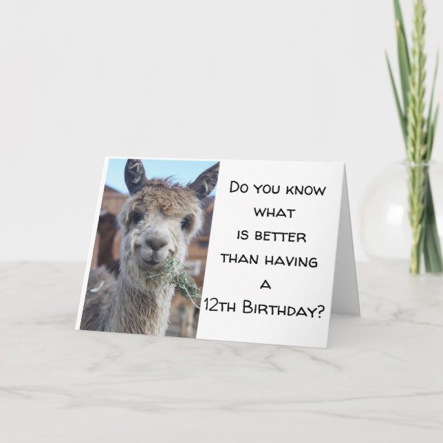 Carte "VOUS ÊTES MAINTENANT UN "ADOLESCENT* HEUREUX 13e  (Devant)