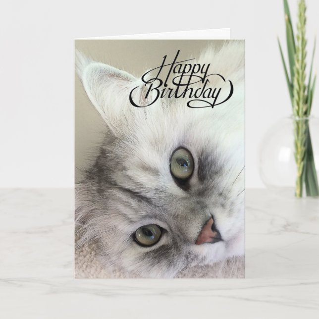 Carte Vous êtes Meowvelous Birthday Card (Devant)