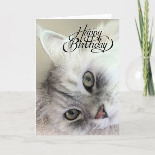 Carte Vous êtes Meowvelous Birthday Card