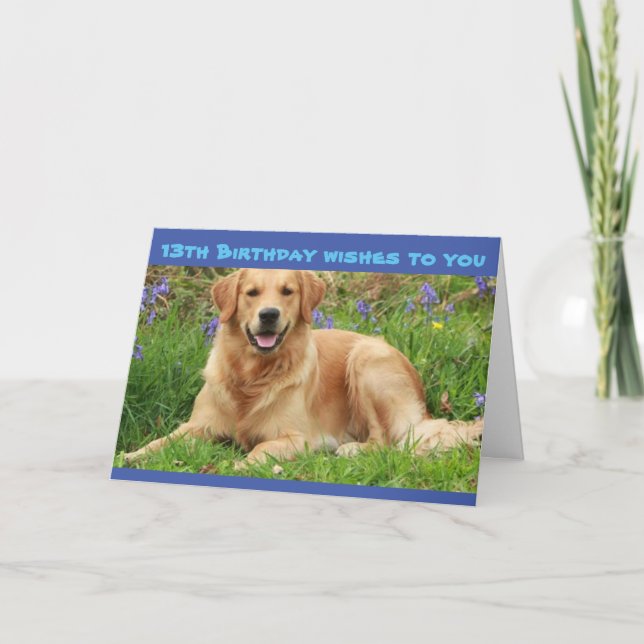 Carte VOUS ÊTES OFFICIELLEMENT ADOLESCENT **13e ANNIVERS (Devant)