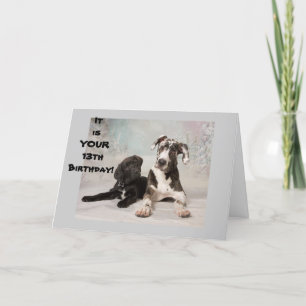 Carte VOUS ÊTES OFFICIELLEMENT ADOLESCENT **13e ANNIVERS