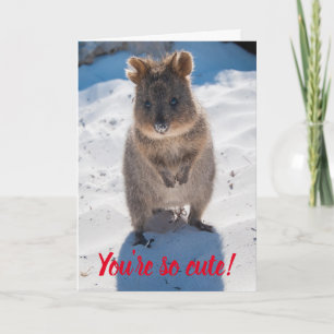 Carte Vous êtes si mignon Quokka sur la plage Valentine