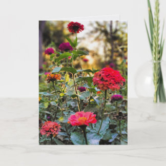 Carte Vous êtes une grande femme