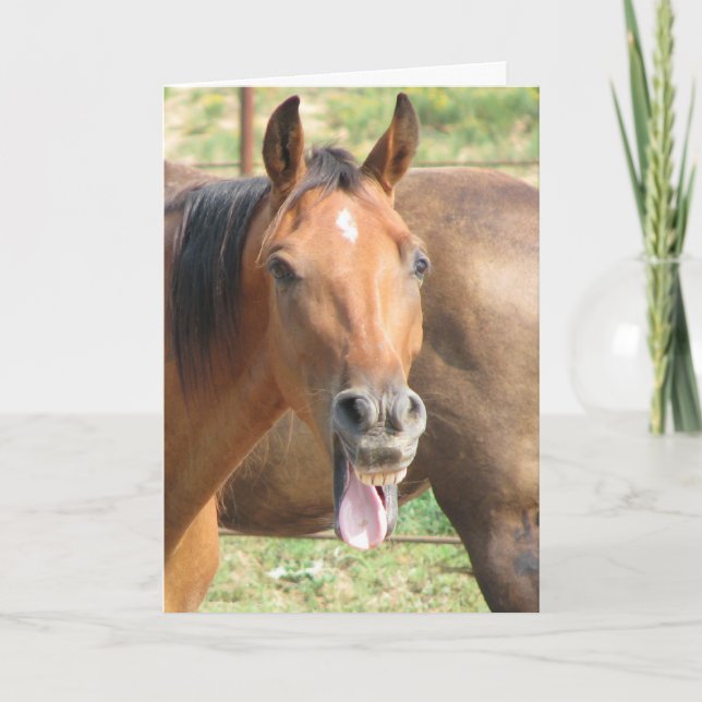 Carte Vous êtes vraiment si vieux ? ! (Devant)