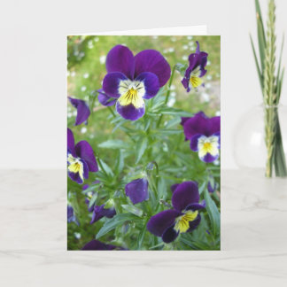 Carte Vous manquant…