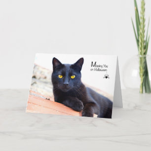 Carte Vous manquer Halloween, chat noir avec l'araignée