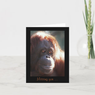 Carte Vous manquez...