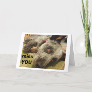 CARTE VOUS MANQUEZ À VOTRE ANNIVERSAIRE DIT TRISTE CHIEN