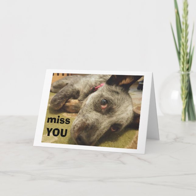 CARTE VOUS MANQUEZ À VOTRE ANNIVERSAIRE DIT TRISTE CHIEN (Devant)
