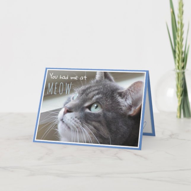 Carte Vous m'avez eu à Meow Happy Anniversary Cute Cat (Devant)