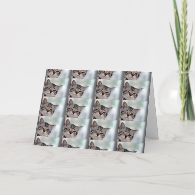 CARTE VOUS MÉRITEZ WINKS KISSES HUGS PLUS ANNIVERSAIRE (Devant)